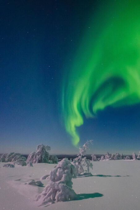 Rovaniemi: Aurora Guarantee Photography Tour (Small Group) - Frequently Asked Questions