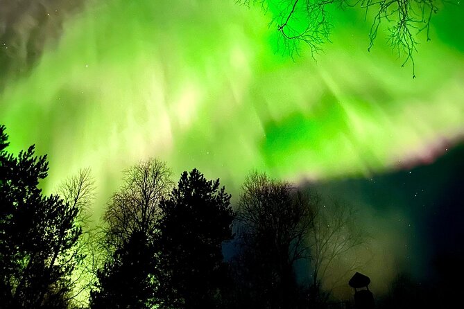 Rovaniemi: Aurora Hunting & Photography Tour - Traveler Reviews