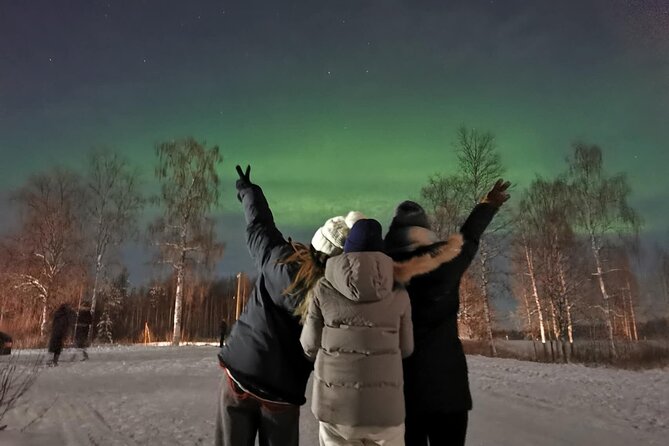 Rovaniemi: Aurora Hunting & Photography Tour - Photography Tips