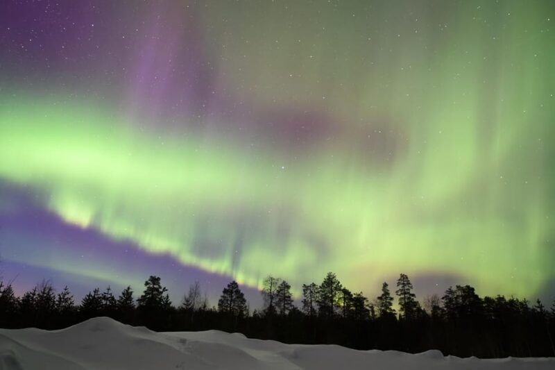 Rovaniemi: Aurora Hunting Tour - Tour Highlights