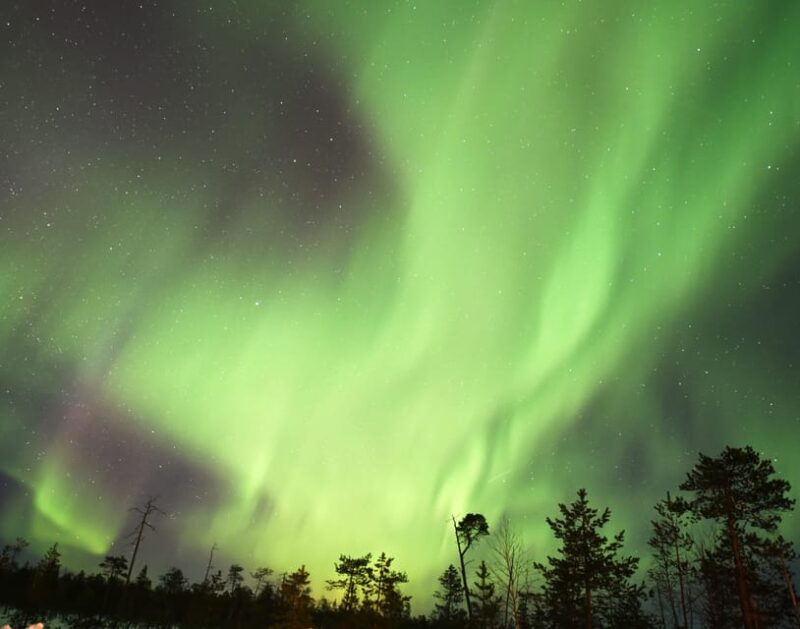 Rovaniemi: Aurora Hunting Tour - Important Information