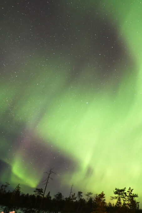 Rovaniemi: Aurora Hunting Tour - Capturing Memorable Moments