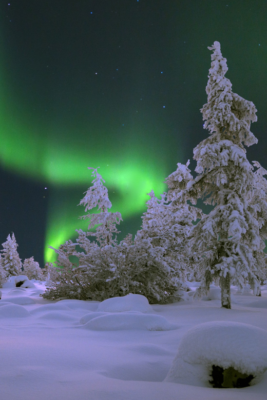 Rovaniemi: Aurora Hunting With Snowmobile - Highlights of the Experience