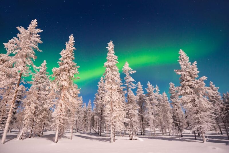 Rovaniemi: Aurora Hunting With Snowmobile - Important Considerations