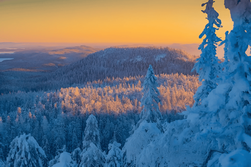 Rovaniemi: Auttiköngäs Winter Wilderness Hike & BBQ - Good To Know