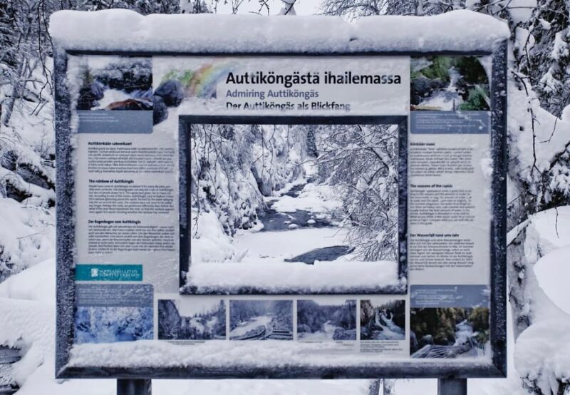Rovaniemi: Auttiköngäs Winter Wilderness Hike & BBQ - Experience Highlights