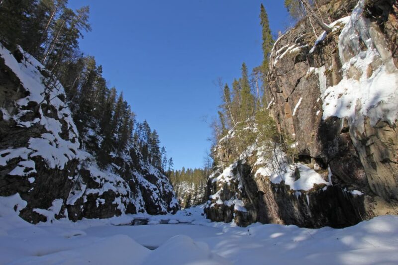Rovaniemi: Auttiköngäs Winter Wilderness Hike & BBQ - Tour Inclusions