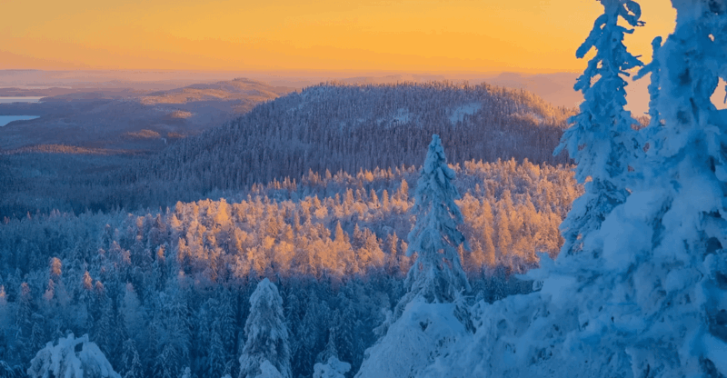 Rovaniemi: Auttiköngäs Winter Wilderness Hike & BBQ - Historical and Cultural Significance