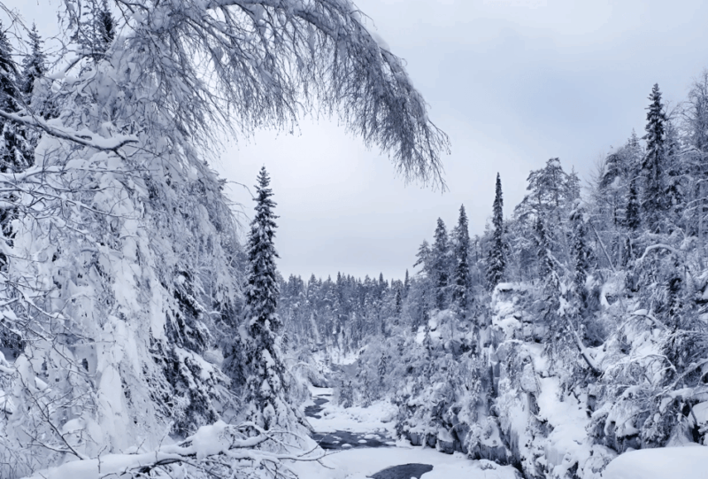 Rovaniemi: Auttiköngäs Winter Wilderness Hike & BBQ - What to Bring
