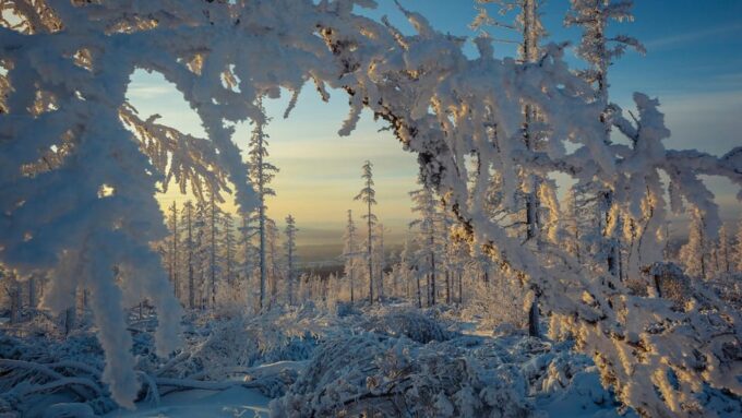 Rovaniemi: Auttiköngäs Winter Wilderness Hike & BBQ - Prohibited Items