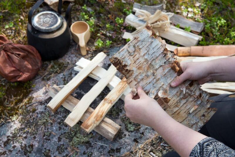 Rovaniemi: Autumn-Summer Arctic Survival Tour - Important Information