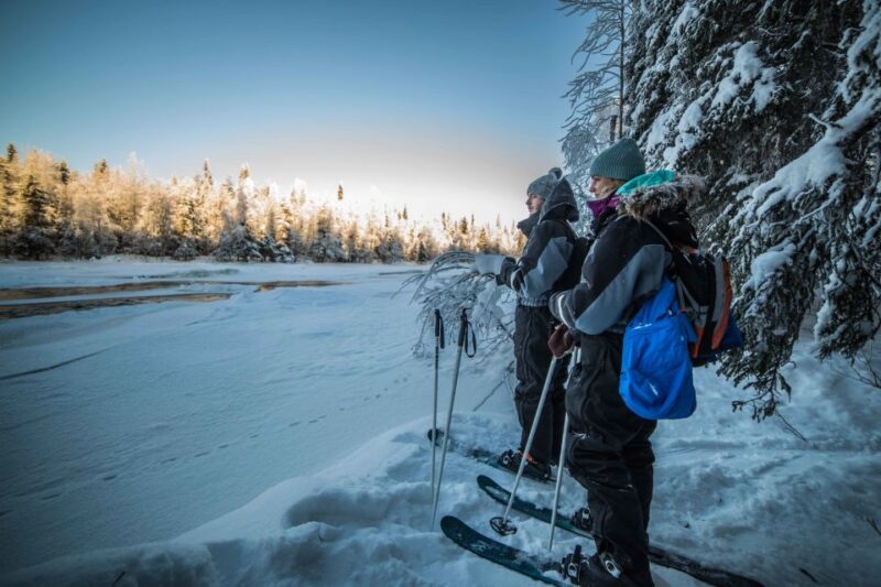 Rovaniemi: Backcountry Skiing Adventure - Activity Overview