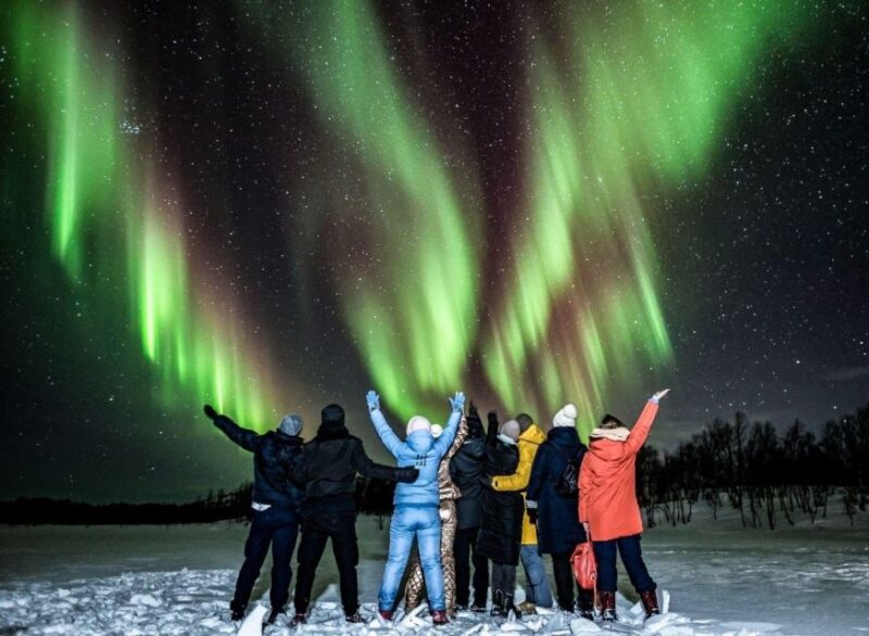 Rovaniemi: BBQ Picnic Experience Under Northern Lights - Overview of the Experience