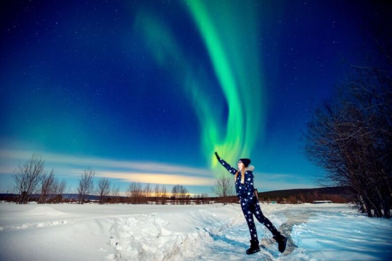 Rovaniemi: BBQ Picnic Experience Under Northern Lights - Preparing for the Arctic Conditions
