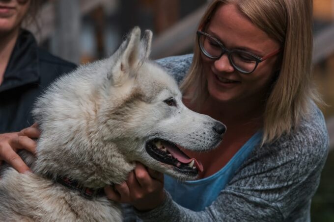 Rovaniemi: Day Trip to Reindeer Farm and Santa Claus Village - Important Policies