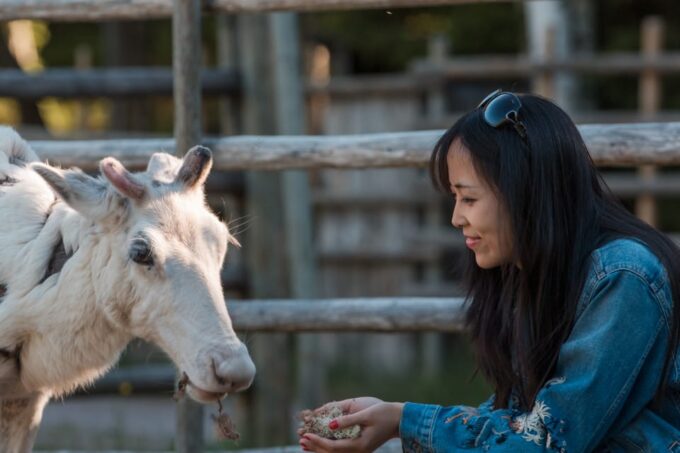 Rovaniemi: Day Trip to Reindeer Farm and Santa Claus Village - Cultural Experiences