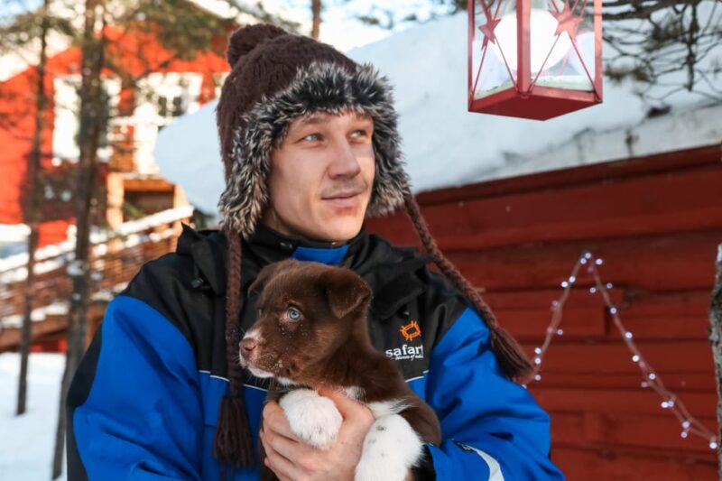 Rovaniemi: Daytime Husky Safari - Good To Know