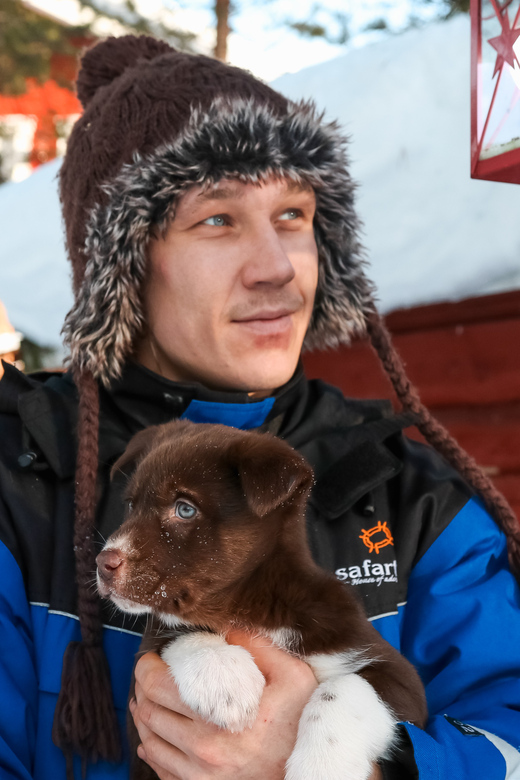 Rovaniemi: Daytime Husky Safari - Pricing and Duration