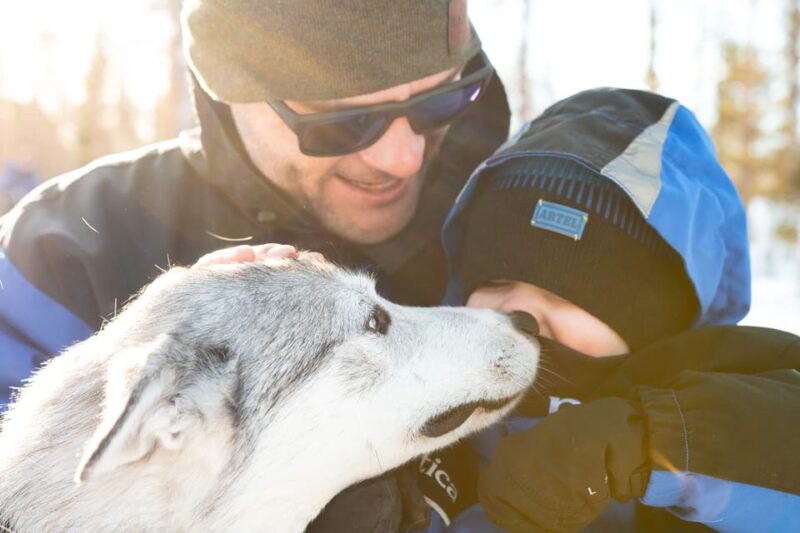 Rovaniemi: Daytime Husky Safari - Customer Feedback
