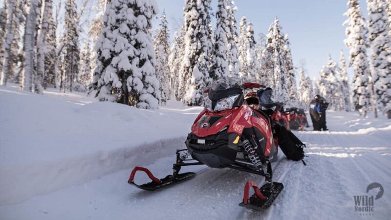 Rovaniemi: Easy Snowmobile Safari - Inclusions and Requirements