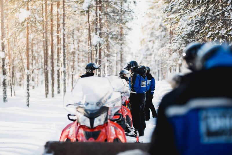 Rovaniemi: Easy Snowmobile Safari - Family-Friendly Experience