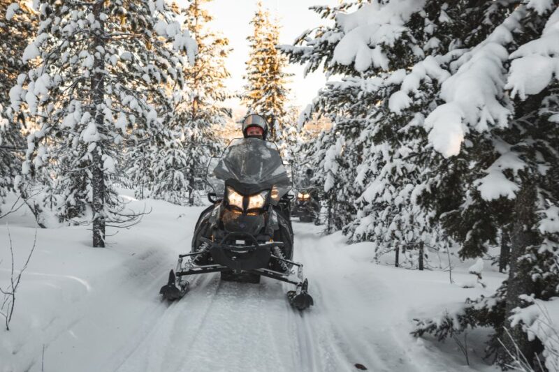 Rovaniemi: Electric Snowmobile Safari to Arctic Wilderness - Tour Overview and Pricing
