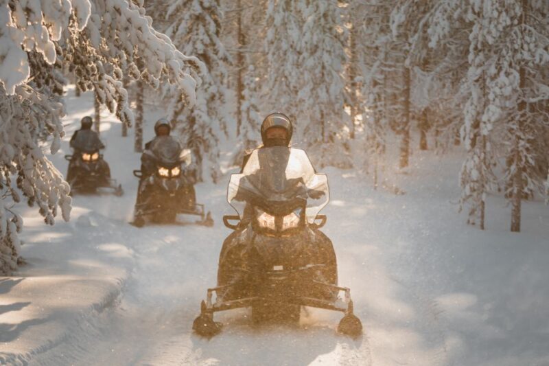 Rovaniemi: Electric Snowmobile Safari Tour With Ice Fishing - Inclusions