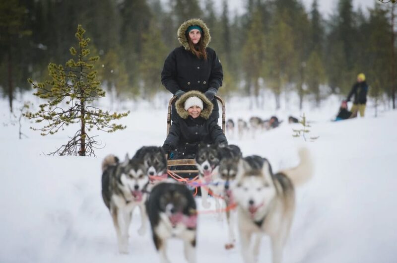 Rovaniemi: Family Friendly Husky Ride and Farm Visit - Scenic Lapland Landscape