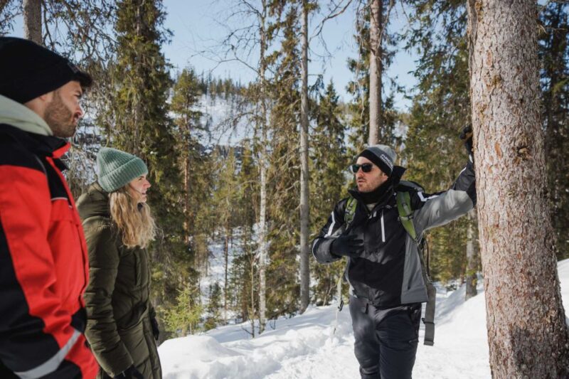 Rovaniemi: Frozen Waterfalls of Korouoma Canyon Hike - Wildlife Encounters