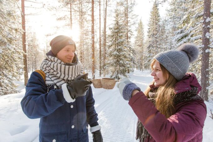 Rovaniemi: Full-Day Highlights Tour With Buffet Lunch - Sum Up