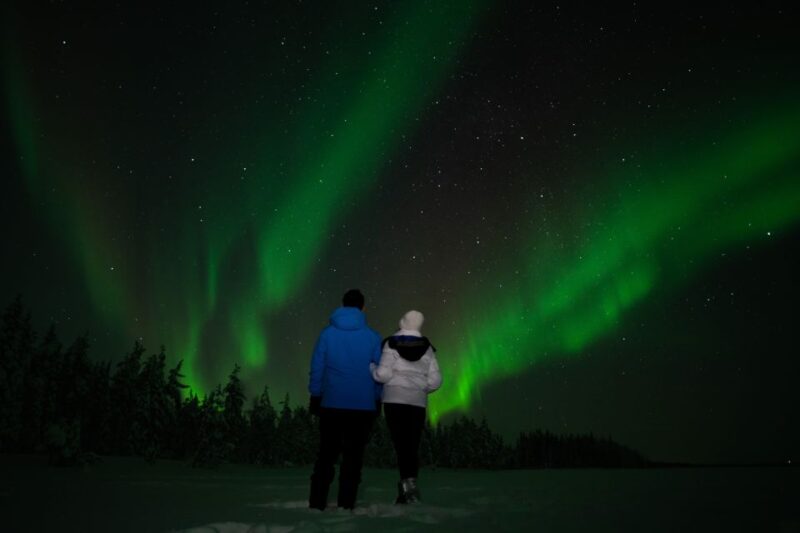 Rovaniemi: Guided Northern Lights Tour - Meeting Locations and Times