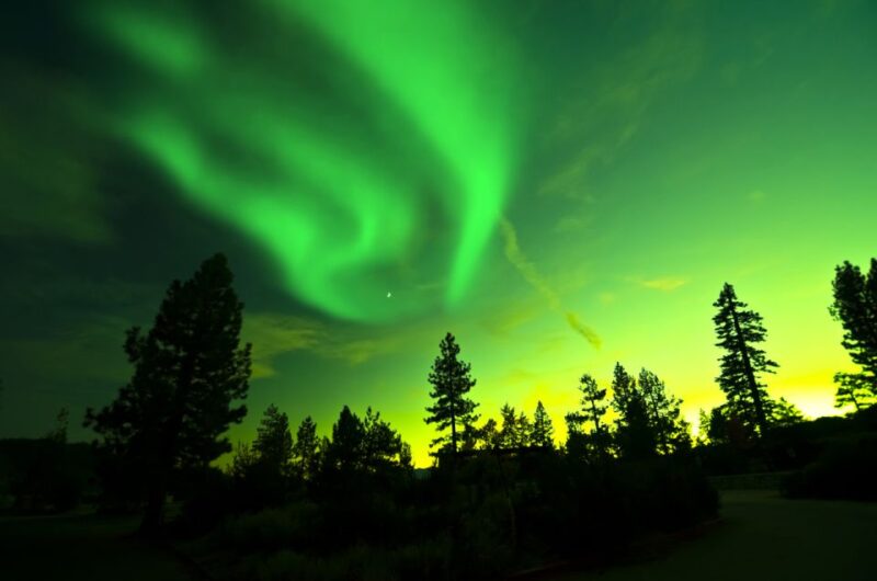 Rovaniemi: Guided Northern Lights Tour - Customer Ratings and Feedback