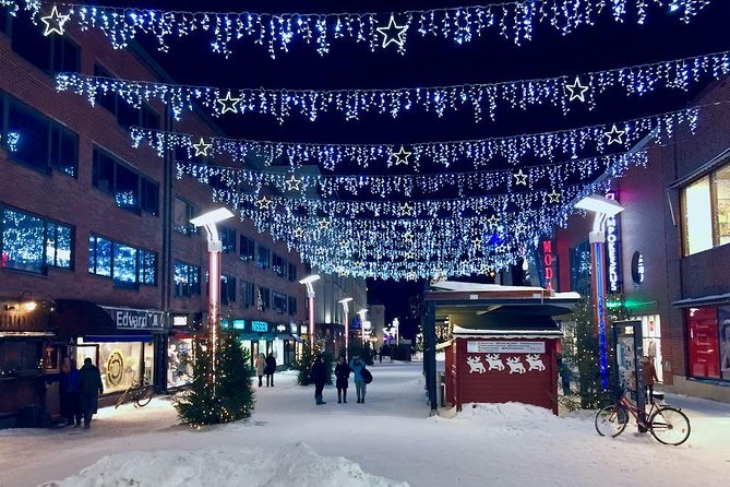 Rovaniemi Guided Tour and Santa Claus Village - Santa Claus Village Activities
