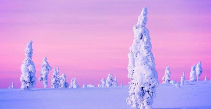 Rovaniemi: Half-Day Snowmobile & Ice Fishing Experience - Sum Up