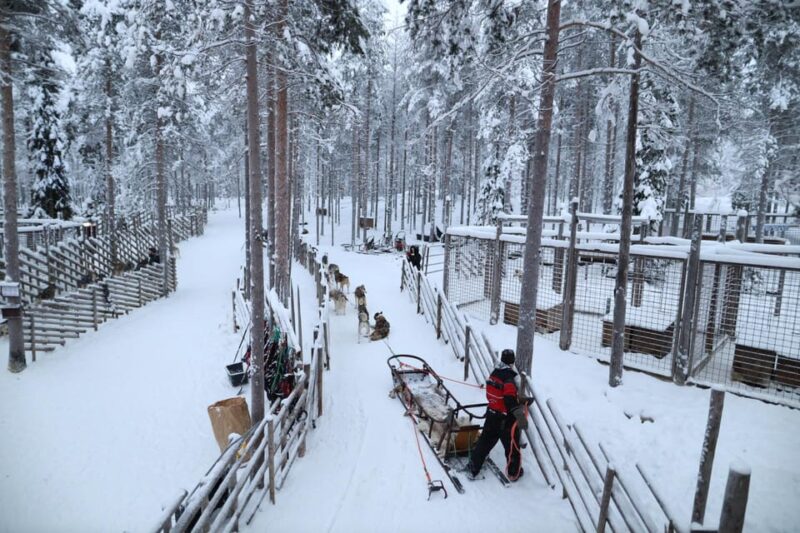 Rovaniemi Highlight Husky, Reindeers Sledge Ride Santa Claus - Inclusions
