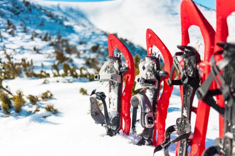 Rovaniemi: Hiking and Snowshoeing Adventure in Lapland - Tour Overview and Pricing