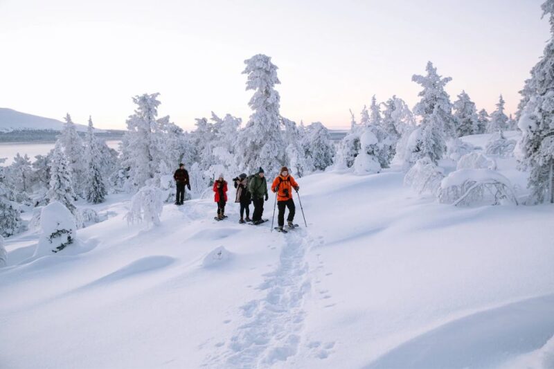 Rovaniemi: Hiking and Snowshoeing Adventure in Lapland - Tour Logistics
