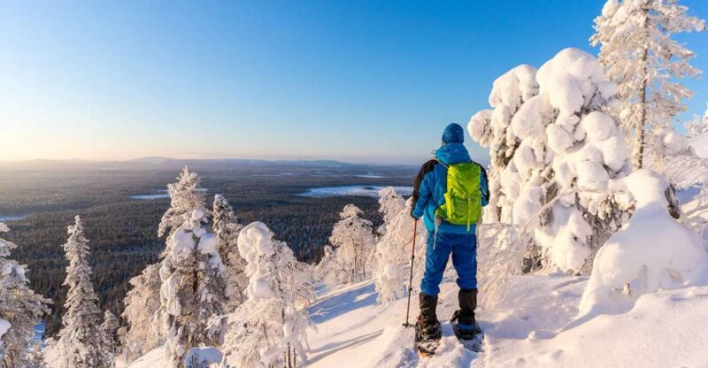 Rovaniemi: Hiking and Snowshoeing Adventure in Lapland - Scenic Arctic Views