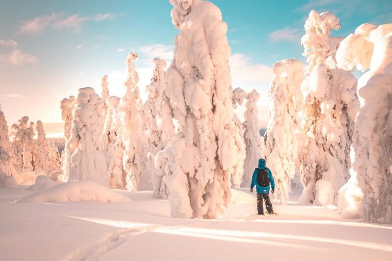 Rovaniemi: Hiking and Snowshoeing Adventure in Lapland - Lappish Gingerbread and Drinks