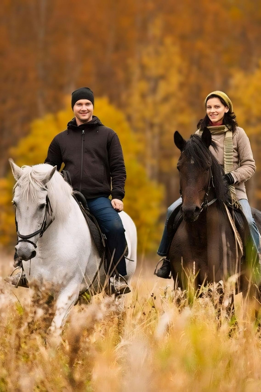 Rovaniemi: Horse Riding in Arctic Wilderness - Safety and Logistics