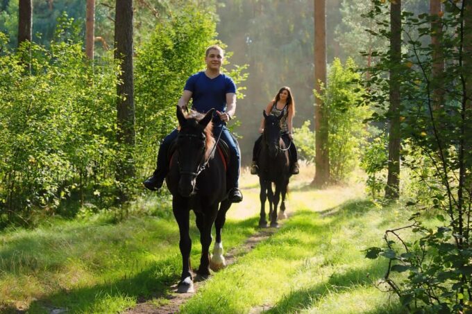 Rovaniemi: Horse Riding in Arctic Wilderness - Pickup and Departure