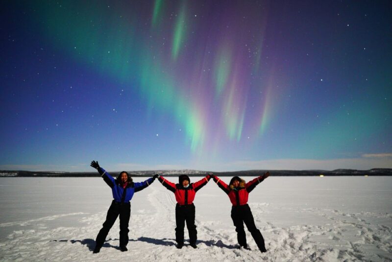 Rovaniemi: Hunting Northern Lights Bus Tour - Tour Overview and Pricing