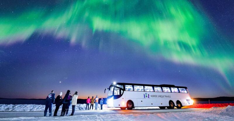 Rovaniemi: Hunting Northern Lights Bus Tour - Important Information