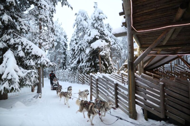 Rovaniemi: Husky and Reindeer Farm Visit With Sleigh Rides - Activity Overview