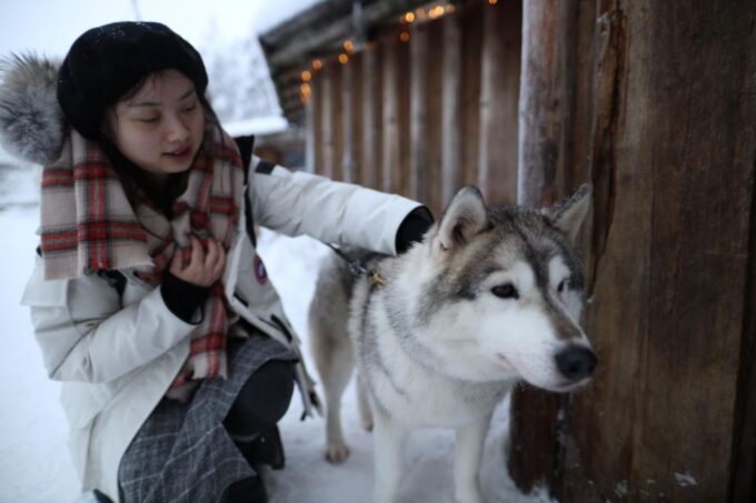 Rovaniemi: Husky and Reindeer Farm Visit With Sleigh Rides - Sum Up
