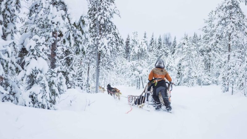 Rovaniemi: Husky Hugging and Sleigh Ride Adventure - Good To Know