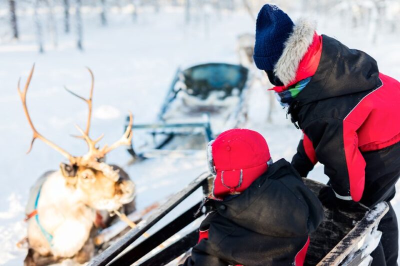 Rovaniemi: Husky & Reindeer Farm Visit With Snowmobile Ride - Shared Snowmobiles