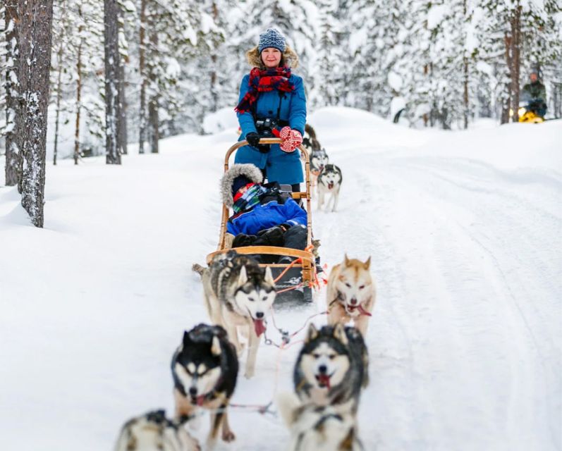 Rovaniemi: Husky Safari on a Snowy Trail - Group Size Requirements