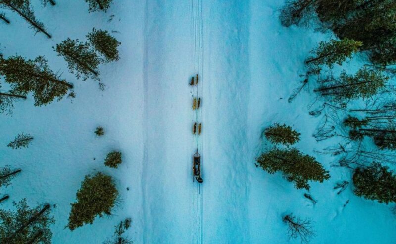 Rovaniemi: Husky Safari Tour & 6-10 Km Self-Driving Mushing - Tour Inclusions and Amenities