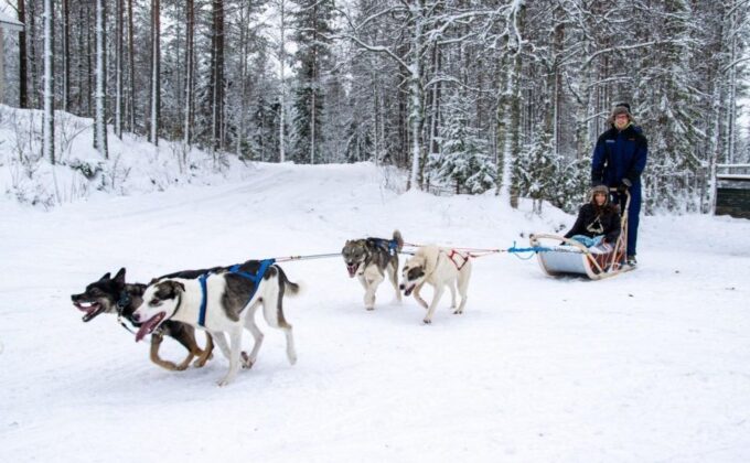 Rovaniemi: Husky Safari Tour & 6-10 Km Self-Driving Mushing - Frequently Asked Questions
